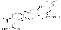 Poricoic acid B图片
