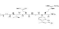 Boc-Ile-Glu-Gly-Arg-AMC图片