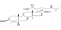 Dehydrotumulosic acid图片