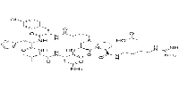 c(Bua-Cpa-Thi-Val-Asn-Cys)-Pro-d-Arg-NEt2 acetate图片