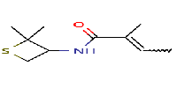 N-(2,2-dimethylthietan-3-yl)-2-methylbut-2-enamide图片