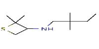 N-(2,2-dimethylbutyl)-2,2-dimethylthietan-3-amine图片