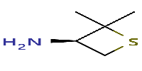 (3R)-2,2-dimethylthietan-3-amine图片