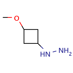 (3-methoxycyclobutyl)hydrazineͼƬ