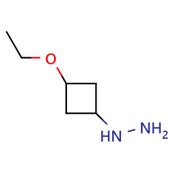 (3-ethoxycyclobutyl)hydrazine图片