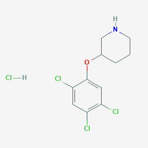 3-(2,4,5-Trichlorophenoxy)piperidine hydrochloride图片