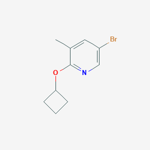 5-Bromo-2-cyclobutoxy-3-methylpyridine图片