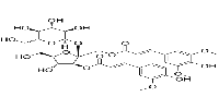 3-Feruloyl-1-Sinapoyl sucrose图片