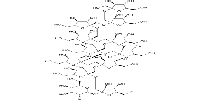 Fructo-oligosaccharide DP12/GF11图片