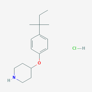 4-(tert-Pentyl)phenyl 4-piperidinyl etherhydrochloride图片