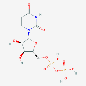 Uridine-5'-Diphosphate图片