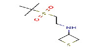 N-[2-(2-methylpropane-2-sulfonyl)ethyl]thietan-3-amine图片