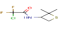 2-chloro-N-(2,2-dimethylthietan-3-yl)-2,2-difluoroacetamide图片