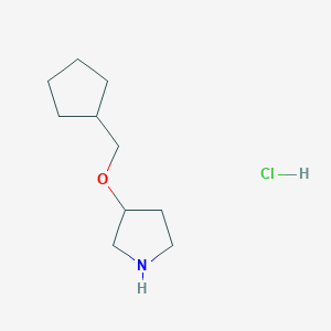 3-(Cyclopentylmethoxy)pyrrolidine Hydrochloride图片