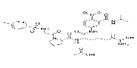 Tos-Gly-Pro-Arg-ANBA-IPA acetate图片