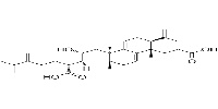 Poricoic acid A图片
