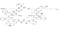 Cortistatin 14,human,rat图片