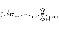 N,N,N-Trimethyl-2-(phosphonooxy)ethanaminium图片