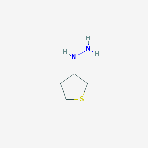 Thiolan-3-ylhydrazine图片