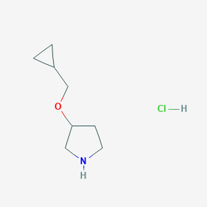 3-(Cyclopropylmethoxy)pyrrolidine Hydrochloride图片