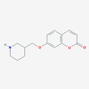 7-(3-Piperidinylmethoxy)-2H-chromen-2-one图片