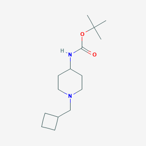 tert-Butyl 1-(cyclobutylmethyl)piperidin-4-ylcarbamate图片