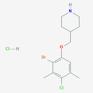 4-[(2-Bromo-4-chloro-3,5-dimethylphenoxy)methyl]-piperidine hydrochloride图片