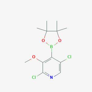 2,5-Dichloro-3-methoxy-4-(4,4,5,5-tetramethyl-1,3,2-dioxaborolan-2-yl)pyridine图片