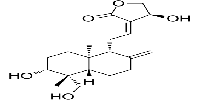 Andropanolide图片