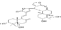 Bisandrographolide C图片
