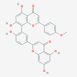 Podocarpusflavone A图片