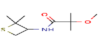 N-(2,2-dimethylthietan-3-yl)-2-methoxy-2-methylpropanamide图片