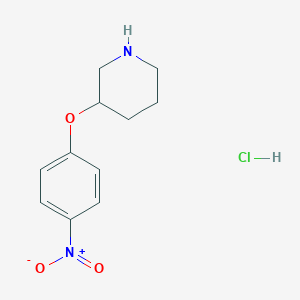 3-(4-Nitrophenoxy)piperidine hydrochloride图片