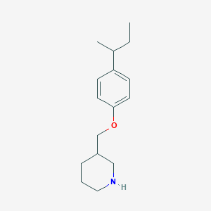 3-{[4-(sec-Butyl)phenoxy]methyl}piperidine图片