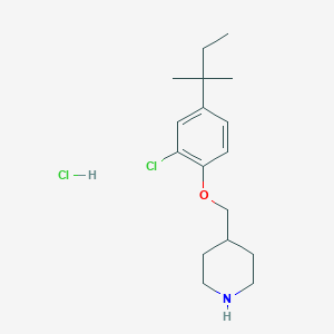 4-{[2-Chloro-4-(tert-pentyl)phenoxy]-methyl}piperidine hydrochloride图片