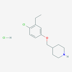 4-[(4-Chloro-3-ethylphenoxy)methyl]piperidinehydrochloride图片
