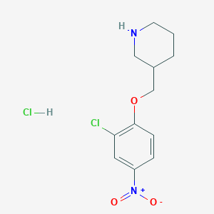 3-[(2-Chloro-4-nitrophenoxy)methyl]piperidinehydrochloride图片