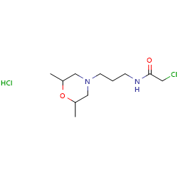 2-chloro-N-[3-(2,6-dimethylmorpholin-4-yl)propyl]acetamidehydrochloride图片