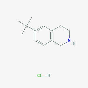 6-tert-butyl-1,2,3,4-tetrahydroisoquinoline Hydrochloride图片