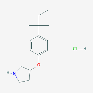 4-(tert-Pentyl)phenyl 3-pyrrolidinyl etherhydrochloride图片