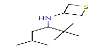 N-(2,2,5-trimethylhexan-3-yl)thietan-3-amine图片