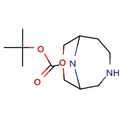 tert-butyl8-oxa-3,10-diazabicyclo[4,3,1]decane-10-carboxylate图片