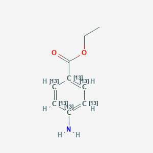 Benzocaine-13C6图片