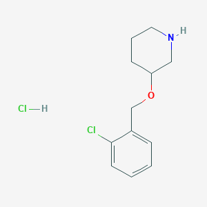 3-[(2-Chlorobenzyl)oxy]piperidine hydrochloride图片