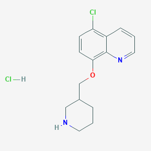 5-Chloro-8-(3-piperidinylmethoxy)quinolinehydrochloride图片