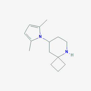 8-(2,5-Dimethyl-pyrrol-1-yl)-5-aza-spiro3,5nonane图片