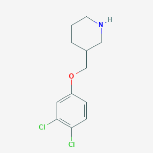3-[(3,4-Dichlorophenoxy)methyl]piperidine图片