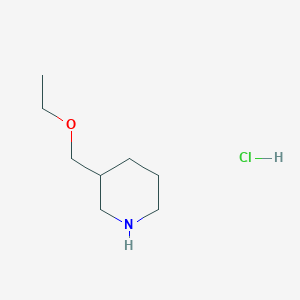 3-(ethoxymethyl)piperidine hydrochloride图片