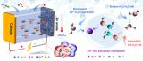 大连化物所研发出耐低温水系锌基电池用电解质溶液