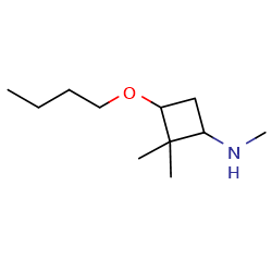 3-butoxy-N,2,2-trimethylcyclobutan-1-amine图片